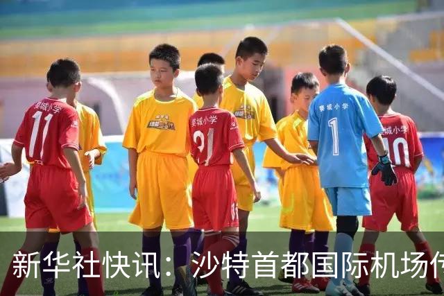 新华社快讯：沙特首都国际机场传出爆炸声